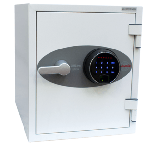 Phoenix Datacare DS2000 Fire Resistant Data Safe